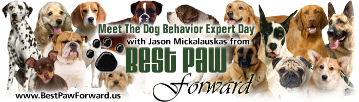 Meet The Dog Behavior Expert Day with Jason Mickalauskas from Best Paw Forward - Dog trainer, dog training Long Island, New York