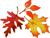 Autumn Fall Festivals Events - Nassau County, Suffolk County, Long Island, New York