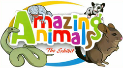 The Center for Science Teaching and Learning (CSTL)'s Amazing Animals Exhibit