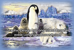 Artic Animals for Preschoolers by Cornell Cooperative Extension of Suffolk County (CCESC) - Long Island, New York