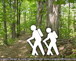 Healthy Bodies · Healthy Bays · Fitness Hike