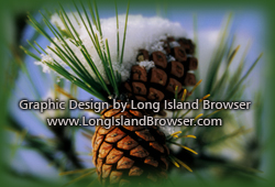 Nature In November - Green All Winter Long by Cornell Cooperative Extension of Suffolk County (CCESC) - Long Island, New York