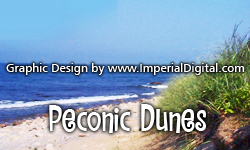 Peconic Dunes - Long Island, New York