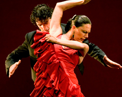 Sol y Sombra - Flamenco Dancers