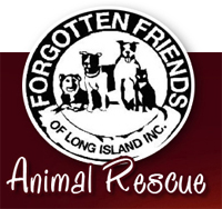 Forgotten Friends of Long Island Animal Rescue - Long Island, New York