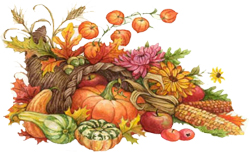 Harvest Festival - Long Island, New York