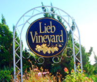 Lieb Family Cellars Winery Vinetard - Mattituvk, Long Island, New York