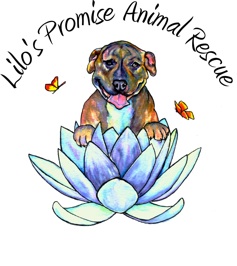 Lilo's Promise Animal Rescue