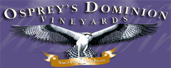 Osprey's Dominion Winery Vineyard Cellar - Peconic, Long Island, New York