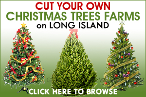 Cut Your Own Christmas Tree Farms - Nassau County, Suffolk County, Long Island, New York