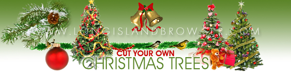 Cut Your Own Christmas Holiday Tree Farms on Long Island New York