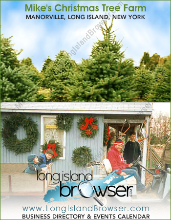 Mike's Christmas Tree Farm Manorville  Cut Your Own Christmas Holiday