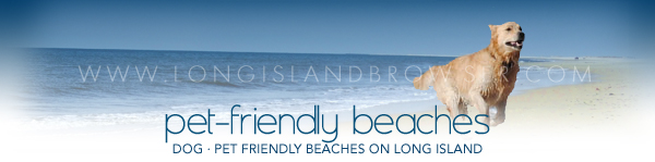 Long Island Dog Pet Friendly Beaches