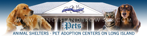 Long Island animal shelters,  animal shelters on Long Island, Long Island pet adoption centers, pet adoption centers on Long Island, animal adoption centers on Long Island, Long Island animal adoption centers, Long Island, pet adoption, pets for adoption on Long Island, Long Island dog canine adoption, dogs canines for adoption on Long Island, Long Island animal adoption, pet adoption on Long island, adopting a dog on Long Island, Nassau County, Suffolk County, Hamptons, Long Island, New York.