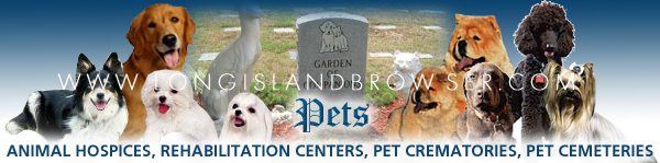 Long Island animal hospices, animal hospices on Long Island, Long Island pet cemeteries, pet cemeteries on Long Island, pet crematories, pet crematories on Long Island, Long Island pet creation services, pet creation services on Long island, Long Island animal rehabilitation centers, animal rehabilitation centers on Long Island, New York animal hospices, animal hospices in New York, New York pet cemeteries, pet cemeteries in New York, New York pet crematories, pet crematories in New York, New York pet creation services, pet creation services in New York, New York animal rehabilitation centers, animal rehabilitation centers in New York, Nassau County, Suffolk County, Hamptons Long Island Long Island New York.