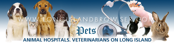 Long Island animal hospitals, animal hospitals on Long Island, Long Island veterinarians, veterinarians on Long Island, Long Island holistic veterinarians, holistic veterinarians on Long Island, animal doctors, vets, veterinary herbal medicine, veterinary acupuncture, veterinary chiropractic, veterinary homeopathy, phytomedicine, herbalism, herbology, phytotherapy, plant, natural medicine, ethnoveterinary, zoopharmacognosy, veterinary aromatherapy, natural husbandry, natural rearing, adverse effects of natural substances, herb,herbal toxicology, health, healing, animal, pet, pets, livestock, dog, canine, cat, feline, horse, equine, cow, cattle, bovine, chicken, avian, pig, swine, Nassau County, Suffolk County, Hamptons, Long Island, New York.