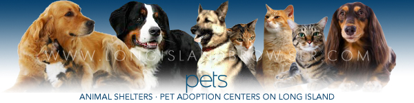 Long Island animal shelters,  animal shelters on Long Island, Long Island pet adoption centers, pet adoption centers on Long Island, animal adoption centers on Long Island, Long Island animal adoption centers, Long Island, pet adoption, pets for adoption on Long Island, Long Island dog canine adoption, dogs canines for adoption on Long Island, Long Island animal adoption, pet adoption on Long island, adopting a dog on Long Island, Nassau County, Suffolk County, Hamptons, Long Island, New York.