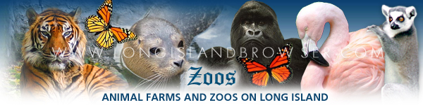 Zoos and Animal Farms on Long Island, New York