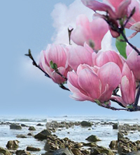 Long Island Browser Business Directory and Events Calendar