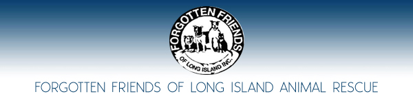 Forgotten Friends of Long Island Animal Rescue Group -  Long Island, New York