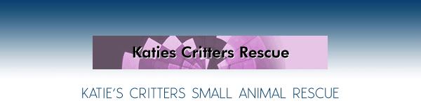 Katie's Critters Small Animal Rescue's mission is to help educate the public and raise awareness of the prevention of cruelty to small animals (guinea pigs, hamsters, ferrets, cockatoos, conjures, parakeets) and birds.