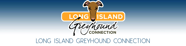 Long Island Greyhound Connection - Long Island, New York