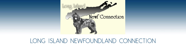 Grateful Greyhounds - Long Island, New York