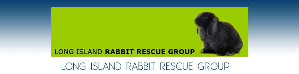 Long Island Rabbit Rescue Group (LIRRG) - Long Island, New York