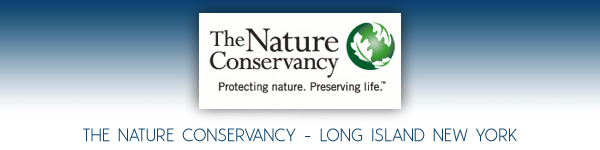 The Nature Conservancy - Long Island Chapter - Long Island, New York