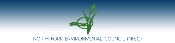 North Fork Environmental Council (NFEC) - Mattituck, Long Island, New York