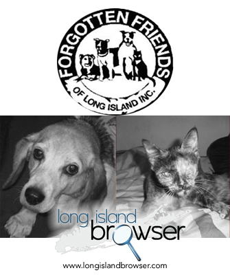 Forgotten Friends of Long Island Animal Rescue Group -  Long Island, New York