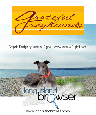 Grateful Greyhounds - Long Island, New York