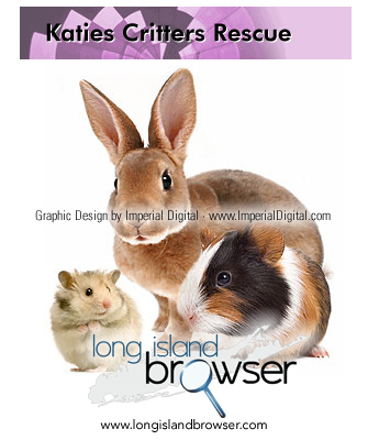 Katie's Critters Small Animal Rescue's mission is to help educate the public and raise awareness of the prevention of cruelty to small animals (guinea pigs, hamsters, ferrets, cockatoos, conjures, parakeets) and birds.