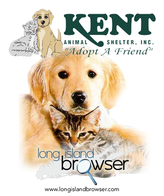 Kent Animal Shelter and Adoption - Calverton, Long Island, New York