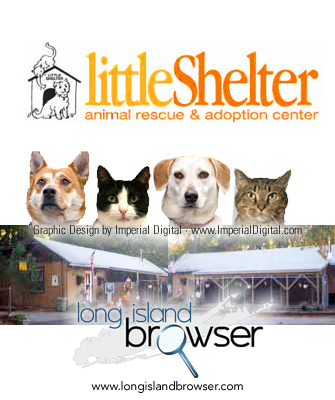 Little Shelter Animal Rescue and Adoption Center - Huntington, Long Island, New York