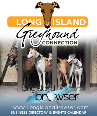 Long Island Greyhound Connection - Long Island, New York