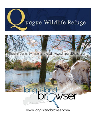 Quogue Wildlife Refuge - Nature Preservce Environmental Center - Quogue Long Island New York