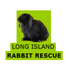 Long Island Rabbit Rescue Group (LIRRG) - Long Island, New York