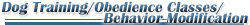 Dog Training Obedience Classes Behavior Modification on Long Island New York including Nassau and Suffolk Counties