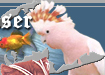 Long Island Pets Browser Directory of Pets on Long Island New York including Nassau and Suffolk Counties