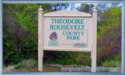Theodore Roosevelt County Park - Montauk, Hamptons, Long Island, New York