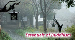 The Essentials of Buddhism