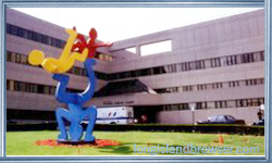 Schneider Children's Hospital