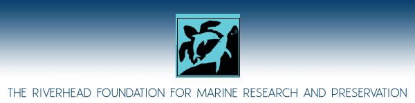 Riverhead Foundation For Marine Research and Preservation - Nature Environment - Long Island New York